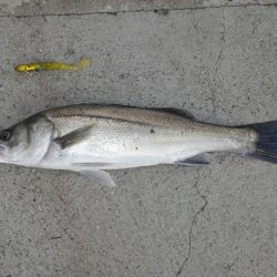 VJ中毒‼発令中⤵